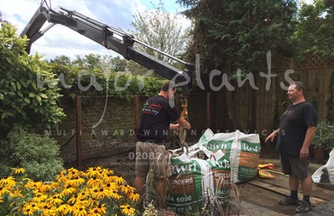 WBC British Queen_image_024