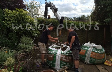 WBC British Queen_image_025