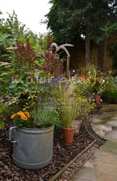 WBC British Queen_image_031