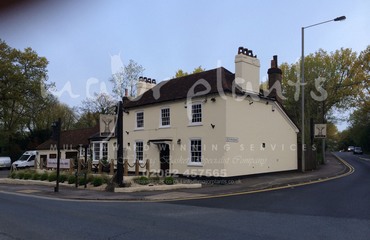 WBC The Hare_image_001