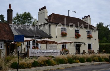 WBC The Hare_image_008