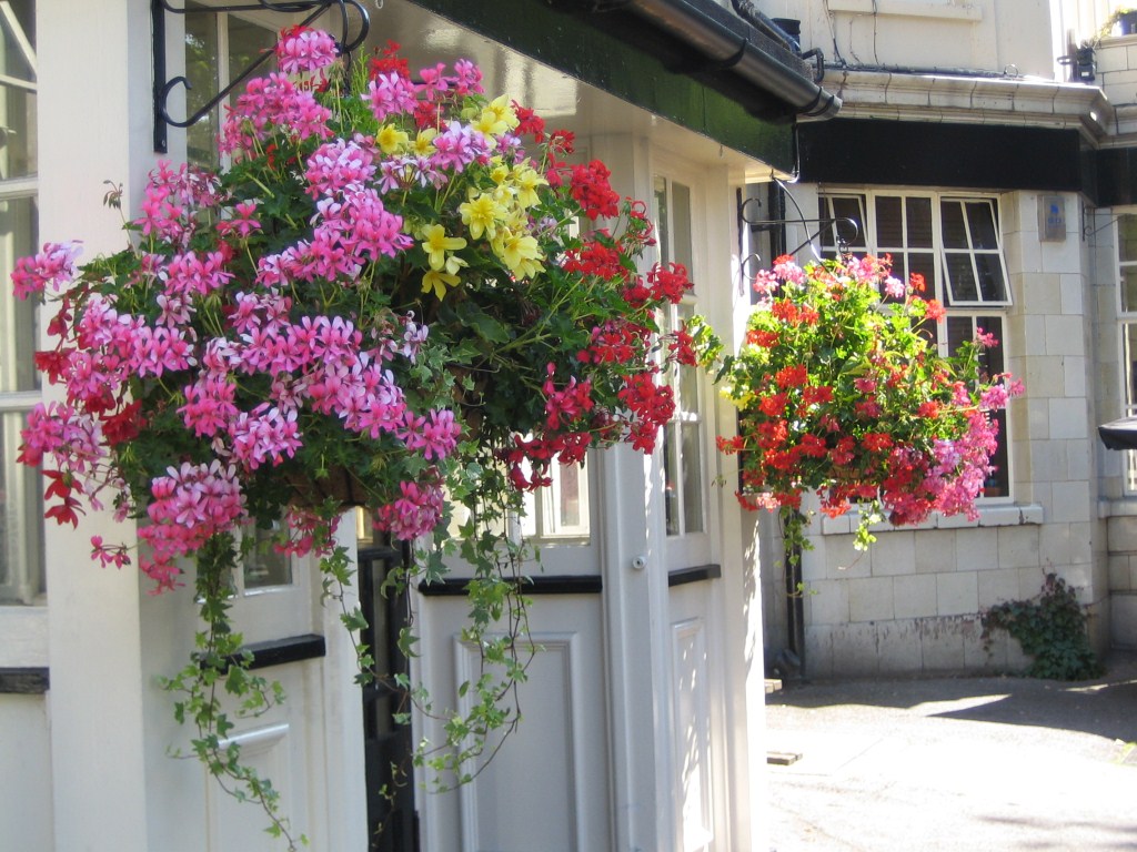 Home Displays