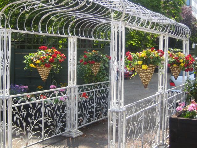 Hanging Baskets