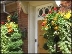 Hanging Baskets 006