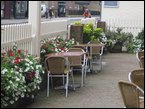 Window Boxes 010