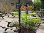 Window Boxes 011
