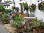 Window Boxes 012