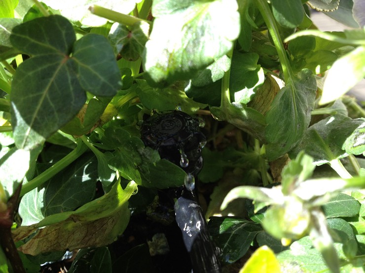 Irrigation system fo pubs hotels restaurants and businesses.