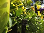 Irrigation Systems 006