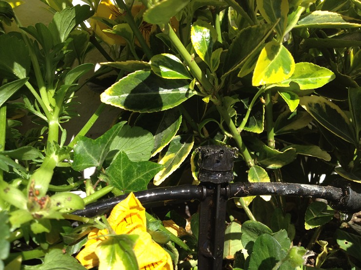 Irrigation system fo pubs hotels restaurants and businesses.