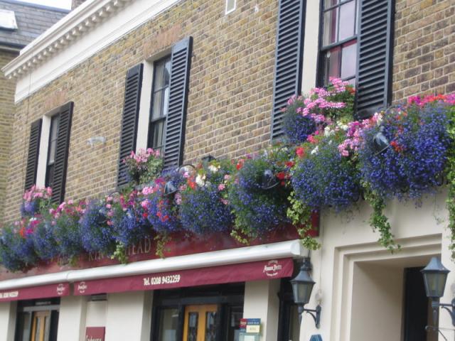 Window Boxes fo pubs hotels restaurants and businesses.