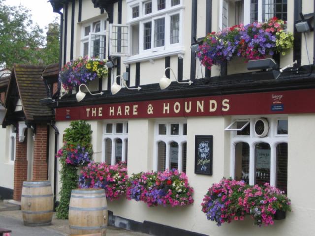 Window Boxes fo pubs hotels restaurants and businesses.