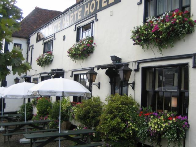 Window Boxes fo pubs hotels restaurants and businesses.