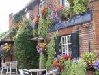 Window Boxes 010