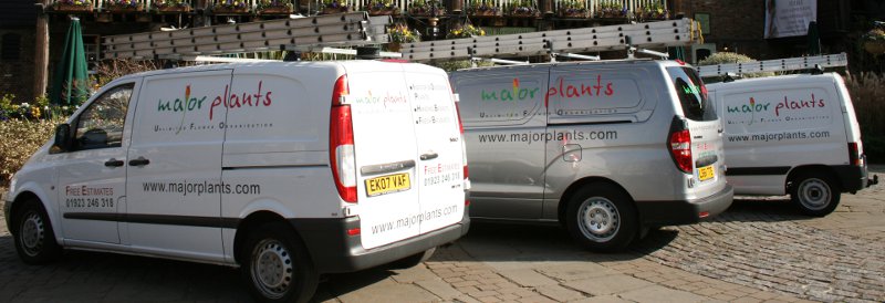 Majorplants Limited - Window boxes