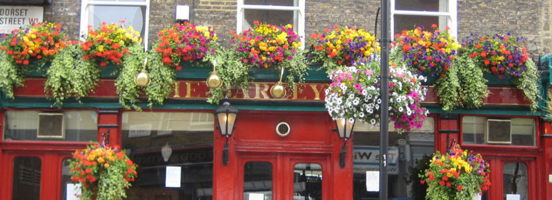 All Year Round Flower Displays for restaurants
