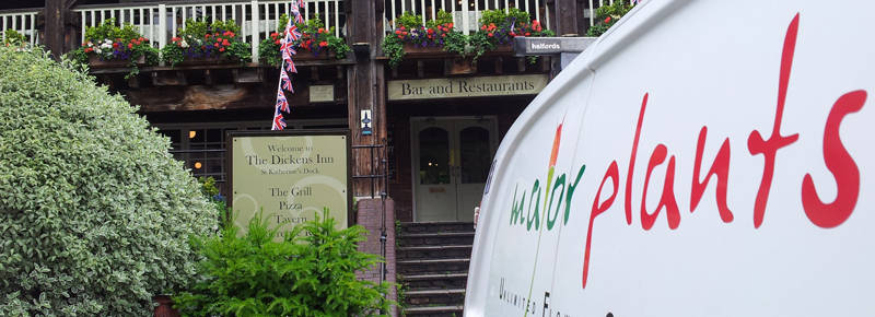 Hanging baskets for pubs in London, UK