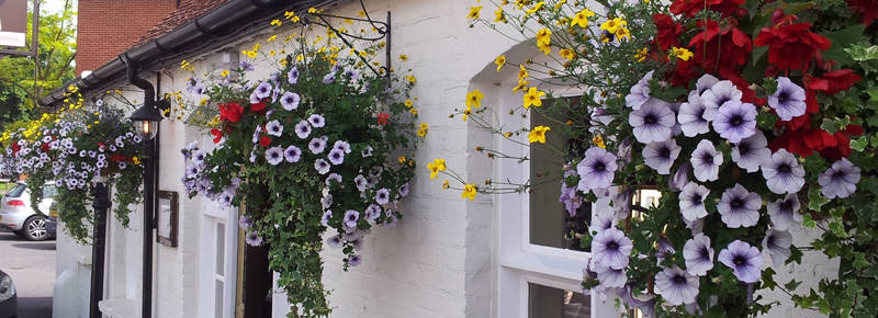 Hanging baskets for businesses in UK