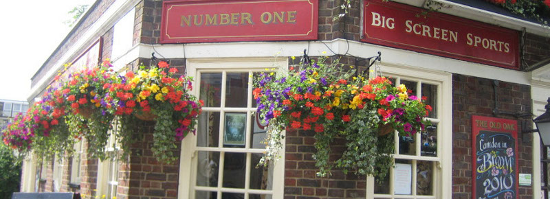 Indoor Plants , Outdoor Plants for pubs