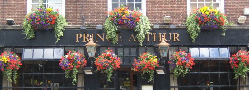 Indoor Plants , Outdoor Plants for restaurants