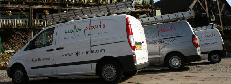 Window boxes for pubs in London