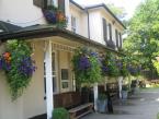 Hanging baskets