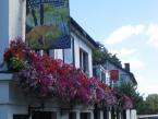Window boxes